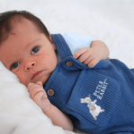 Hudson (10)